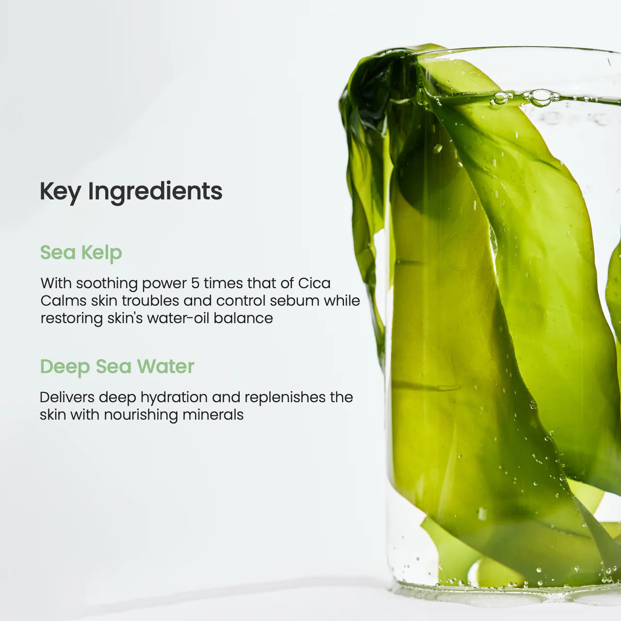Biodance - Refreshing Sea Kelp Real Deep Mask 1x